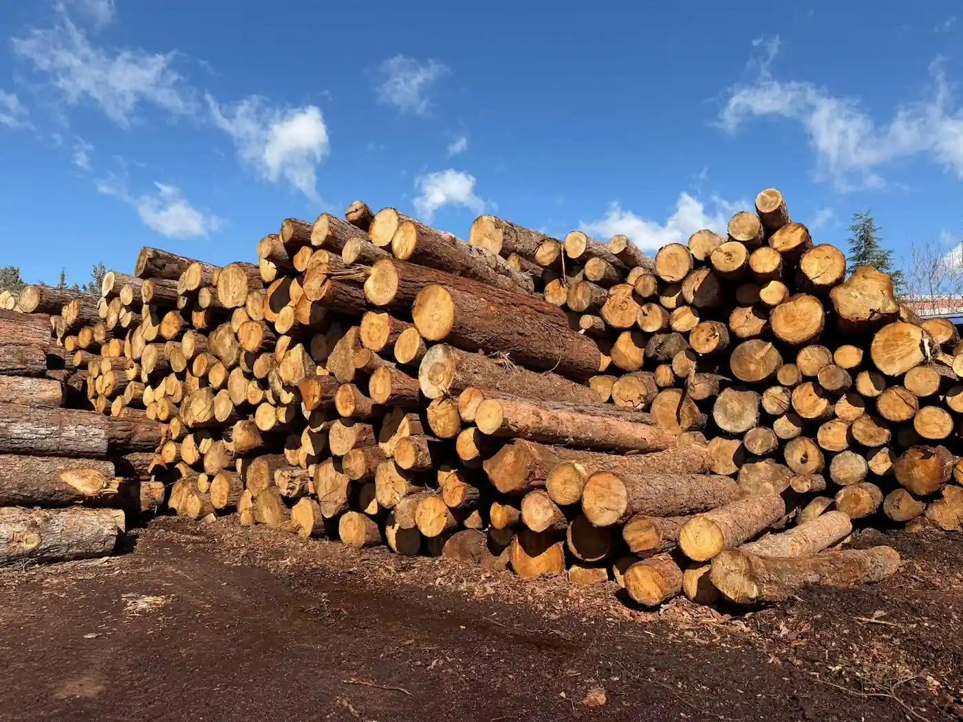 1963’ten Bu Yana Kereste ve Ahşap Ürün Üretimi
